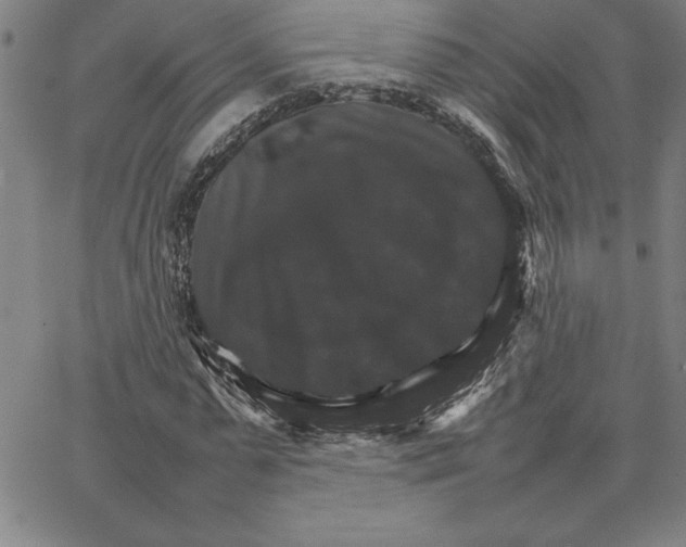 X0000066540775200604071641