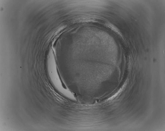 X0000066540777200604071641