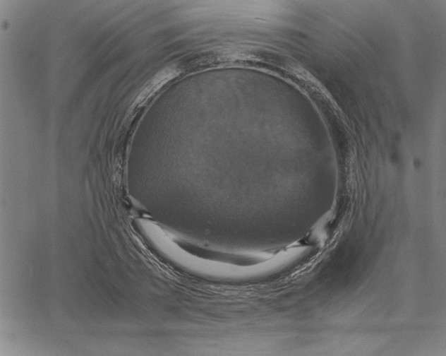 X0000066540785200604071641