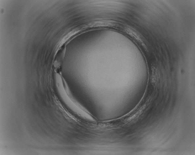 X0000066540786200604071641