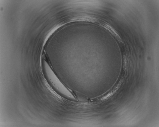 X0000066540788200604071641