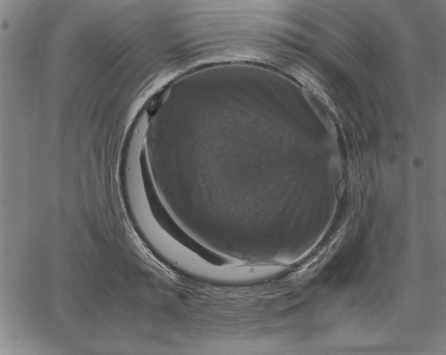 X0000066540797200604071640