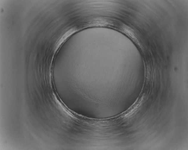 X0000066540802200604071640