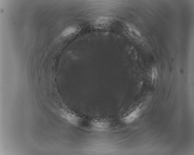 X0000066540817200604071639