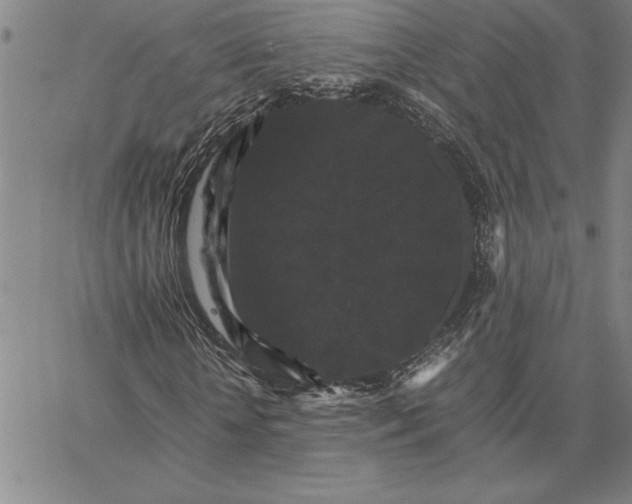 X0000066540818200604071639