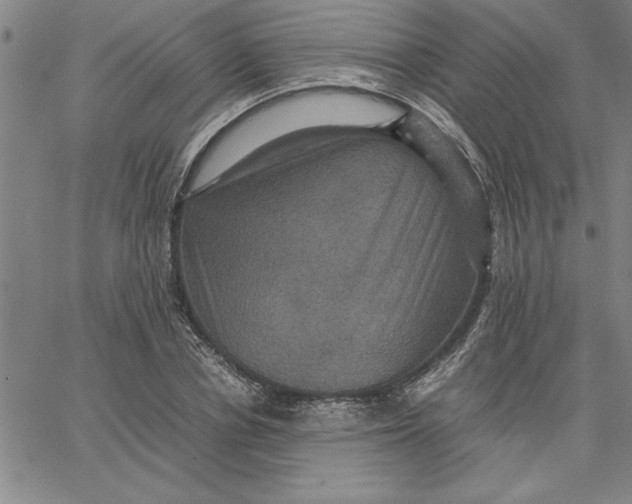 X0000066540834200604071640