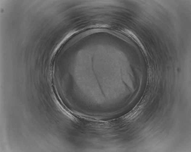 X0000066540851200604071640