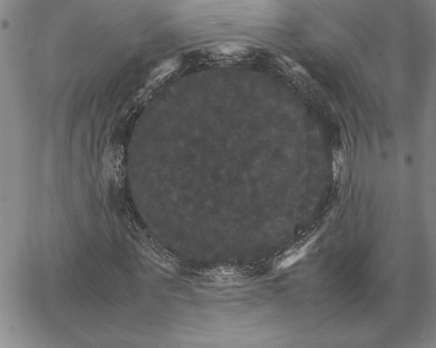 X0000066540867200604071639