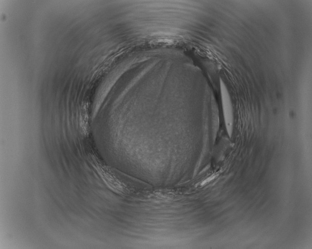 X0000066540868200604071639