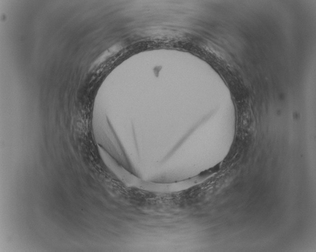 X0000066540869200604071639