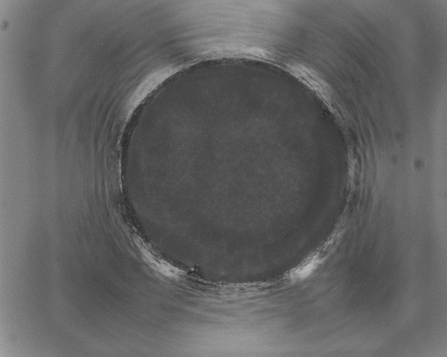 X0000066540877200604071639