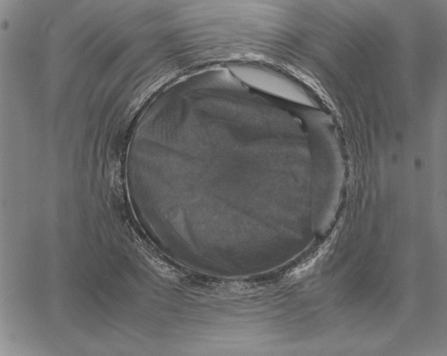 X0000066540881200604071639
