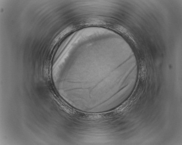 X0000066540882200604071639