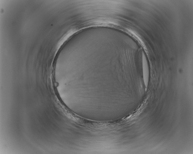 X0000066540899200604071639