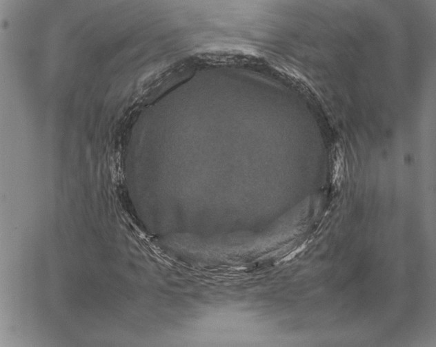 X0000066540965200604071638