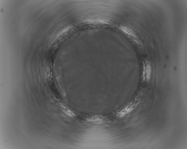 X0000066540966200604071638