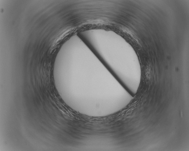 X0000066540968200604071638