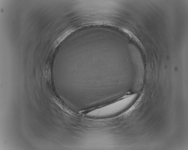 X0000066540969200604071638