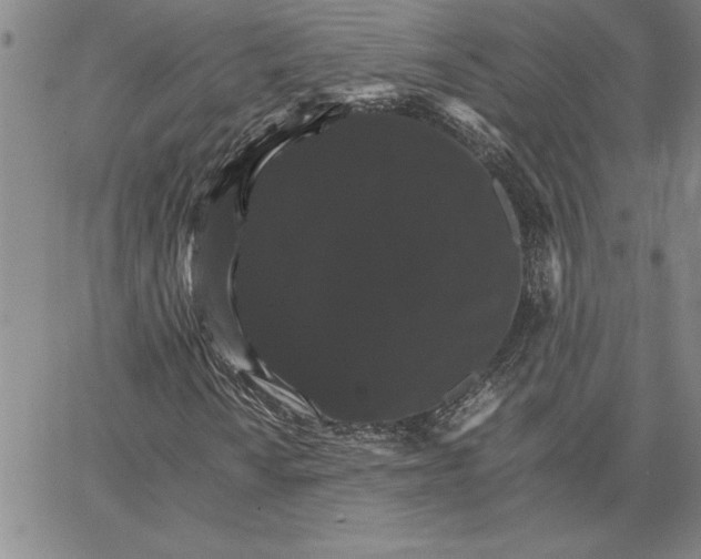 X0000066541010200604071636