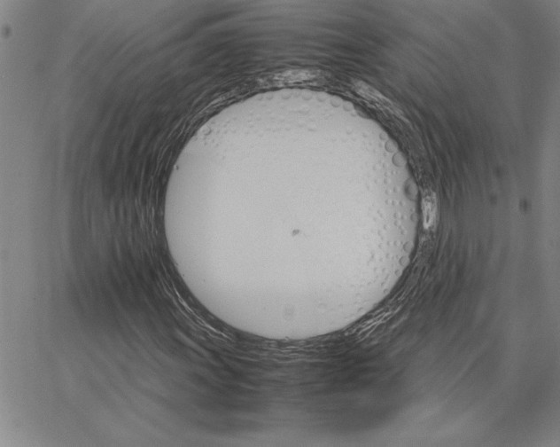X0000066541011200604071636