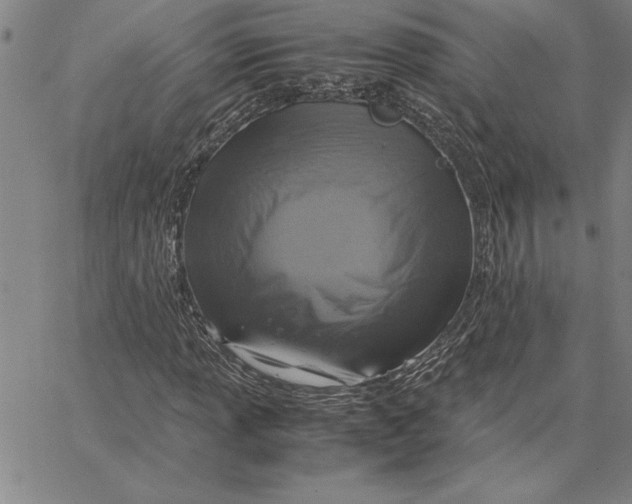 X0000066541013200604071636