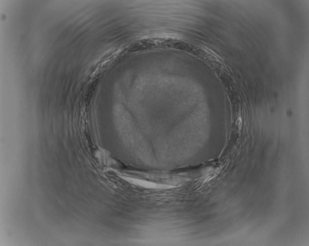 X0000066541014200604071636