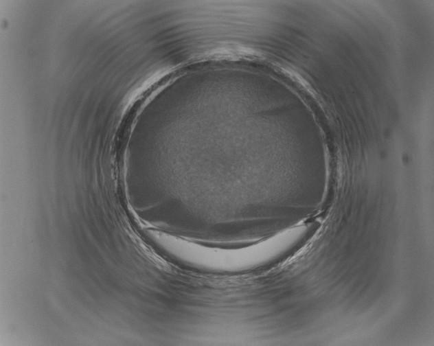 X0000066541018200604071636