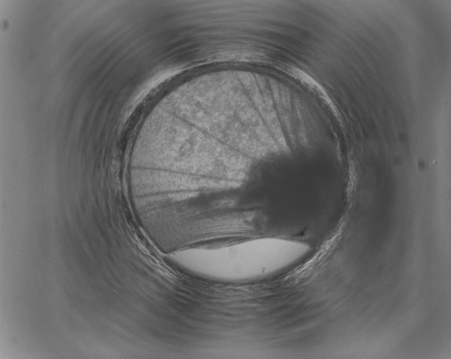 X0000066541019200604071636