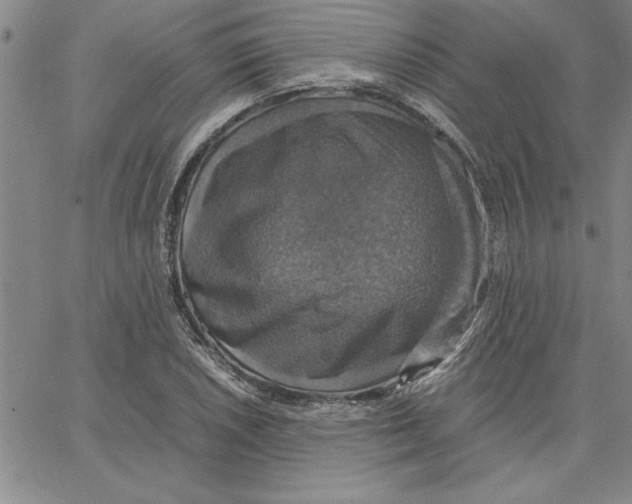 X0000066541026200604071636