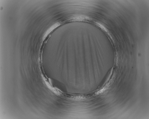X0000066541042200604071637