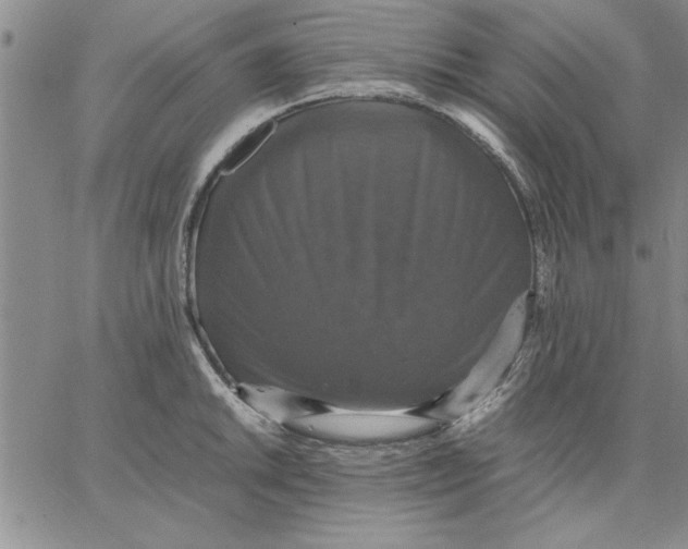 X0000066541046200604071637