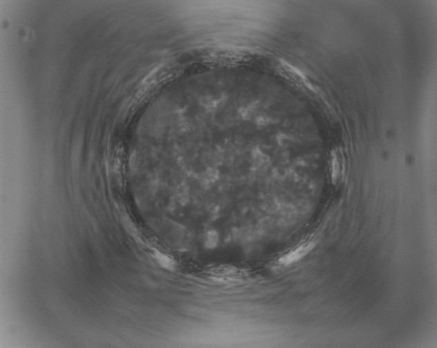 X0000066541059200604071636