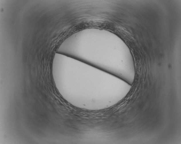 X0000066541061200604071636