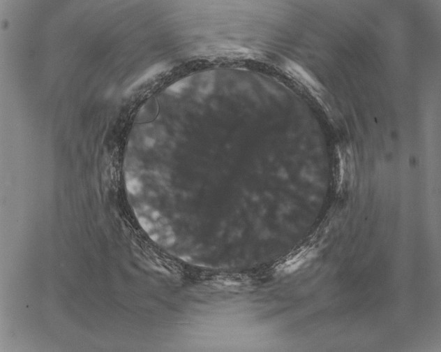 X0000066541063200604071636