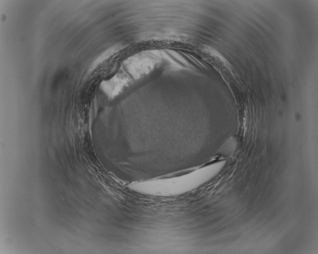 X0000066541064200604071636