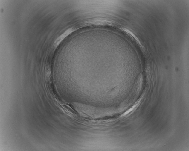 X0000066541065200604071636
