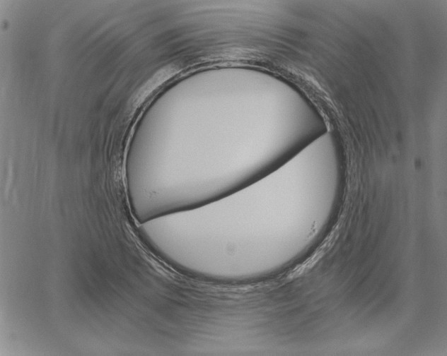 X0000066541073200604071636