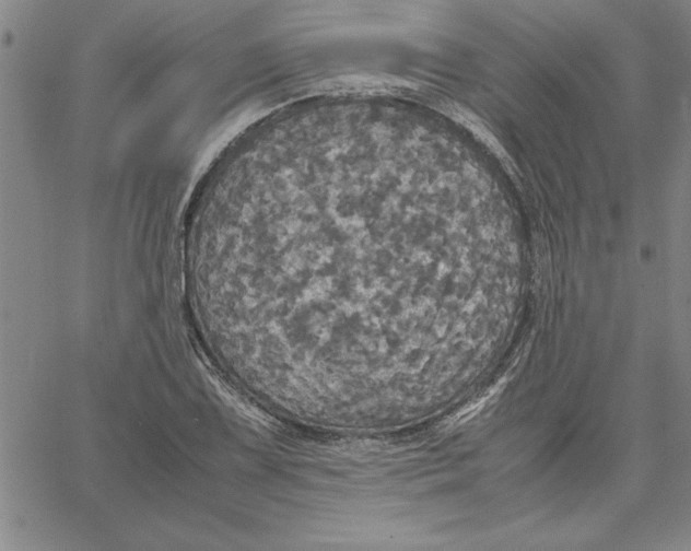 X0000066541075200604071636