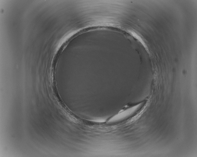 X0000066541077200604071636