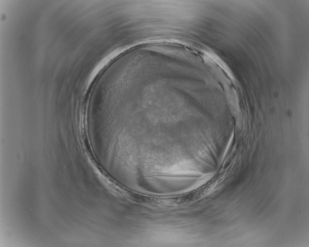 X0000066541101200604071635