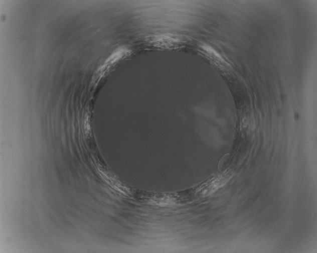 X0000066541106200604071635