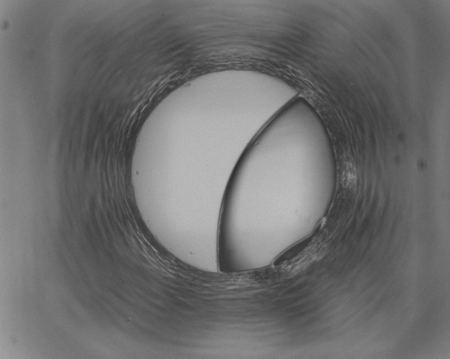 X0000066541108200604071635