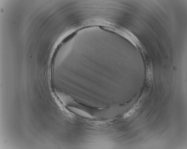 X0000066541144200604071635