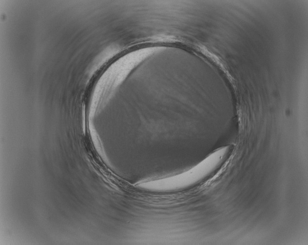 X0000066541171200604071634