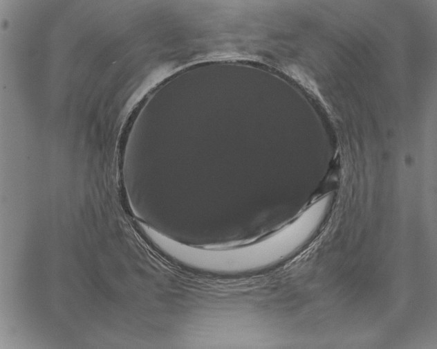 X0000066541173200604071634