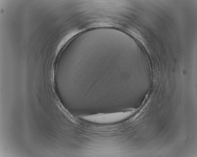 X0000066541179200604071634