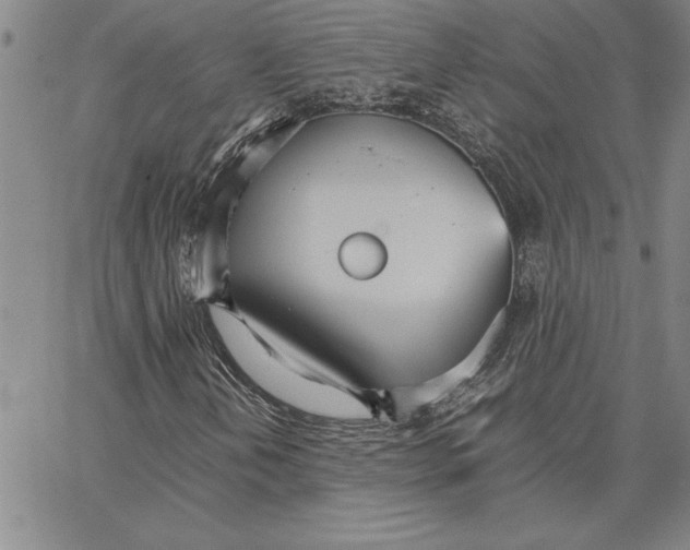 X0000066541202200604071633