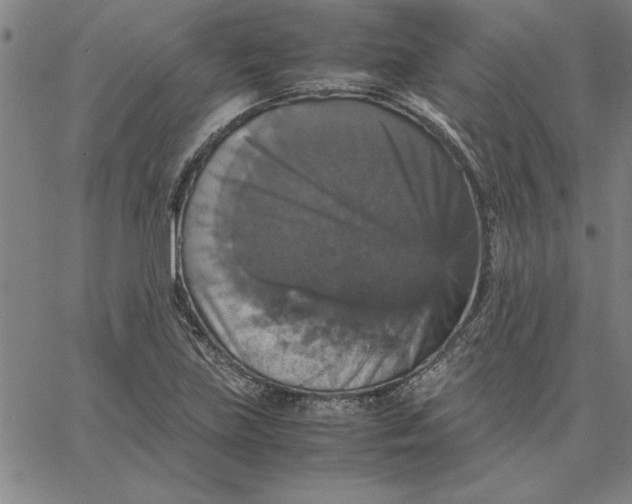 X0000066541219200604071633