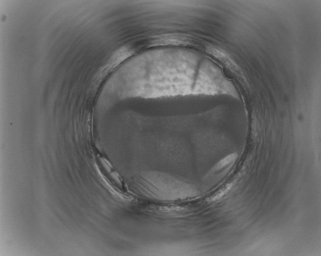 X0000066541233200604071634