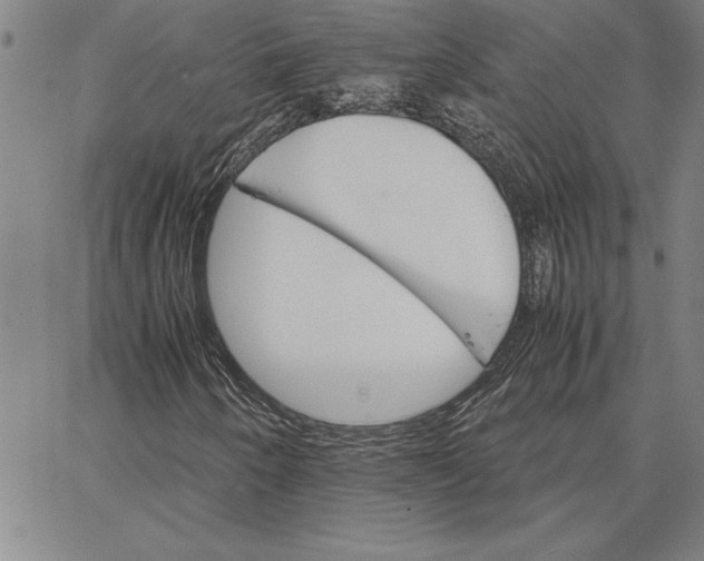 X0000066541250200604071633